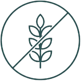 No Gluten
