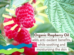 Sheer Tinted Mineral Sunscreen Fluid SPF 50