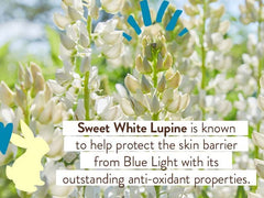 Sheer Tinted Mineral Sunscreen Fluid SPF 50