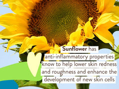 Sensitive Baby Mineral Sunscreen Lotion SPF 50