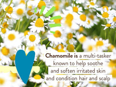 Sensitive Baby Mineral Sunscreen Lotion SPF 50