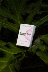 Sugar-Free Xylitol Chewing Gum Bulk Pack