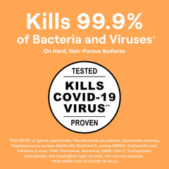 Disinfecting Multi-Surface Spray Cleaner