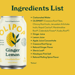 Ginger Lemon Prebiotic Sparkling Tonic