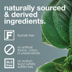 Fluoride-Free EWG Verified Peppermint Toothpaste