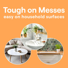 Disinfecting Multi-Surface Spray Cleaner