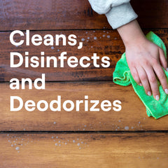Disinfecting Multi-Surface Spray Cleaner