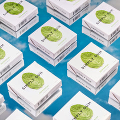 Natural Chewing Gum with Plant-Based Chicle