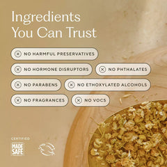 Fragrance-Free Concentrated Multi-Surface Cleaner