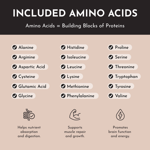 Vegan Chocolate Protein Powder